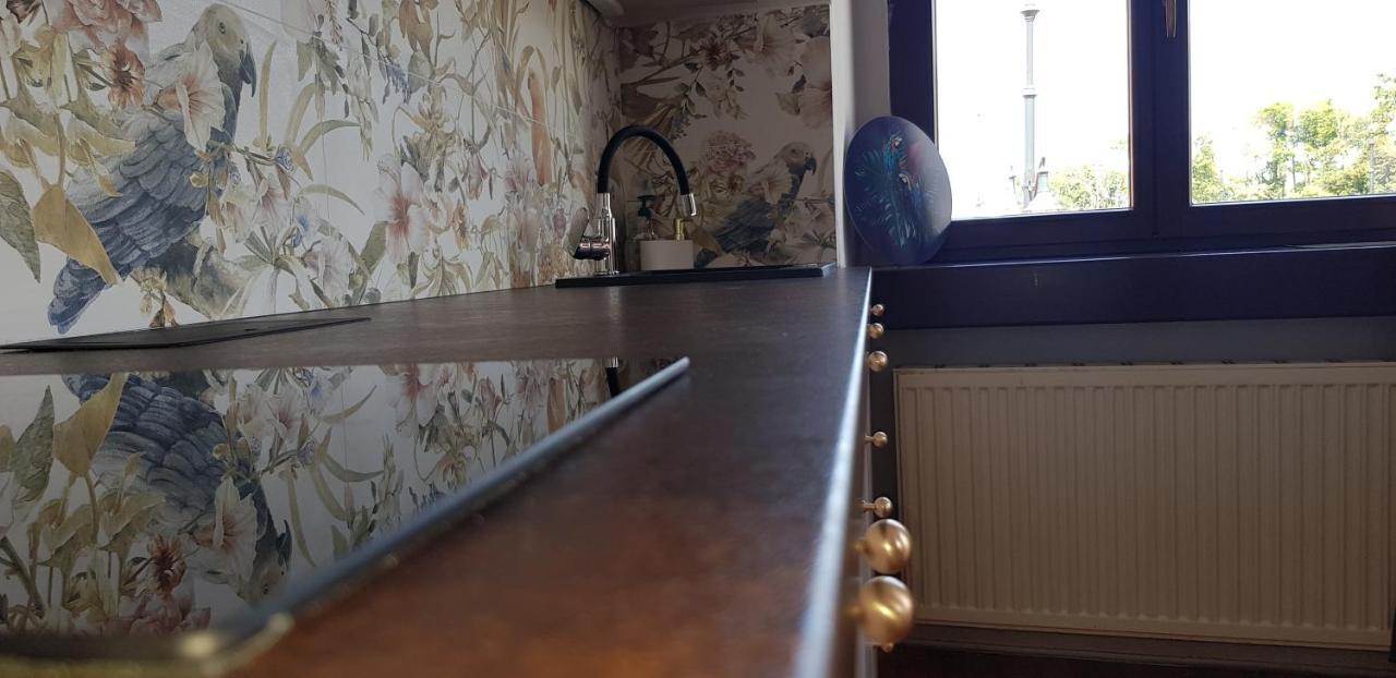 Astronomiczny apartament , mieszkanie 2 pokojowe. Parking. Stary Toruń Zewnętrze zdjęcie